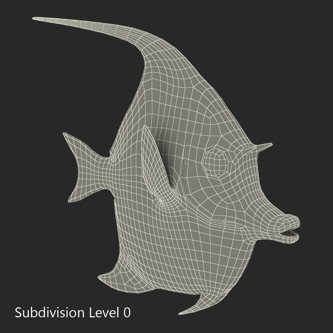 moorish idol fish 3d c4d https://p.turbosquid.com/ts-thumb/2k/KLcZ4C/MTMp1MBd/moorishidolfish3dmodel27/jpg/1461569308/1920x1080/fit_q87/bad021de627bb5fd2c5cd1497ca95c30a1efdbfb/moorishidolfish3dmodel27.jpg