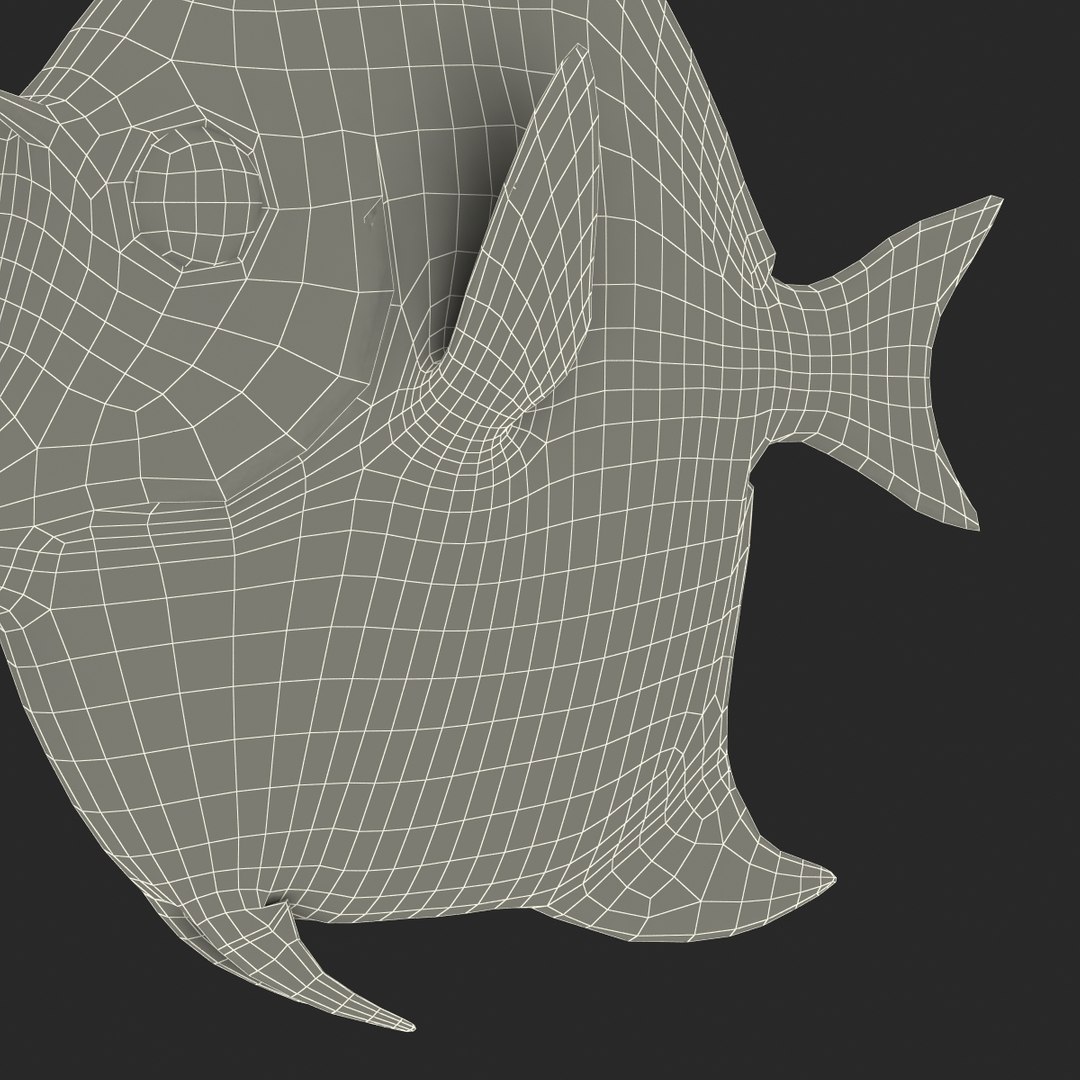 moorish idol fish 3d c4d https://p.turbosquid.com/ts-thumb/2k/KLcZ4C/QDeA2BlF/moorishidolfish3dmodel41/jpg/1461569309/1920x1080/fit_q87/bd21100aeefa382b3f598ec7d4733f4fd8c8f5a7/moorishidolfish3dmodel41.jpg