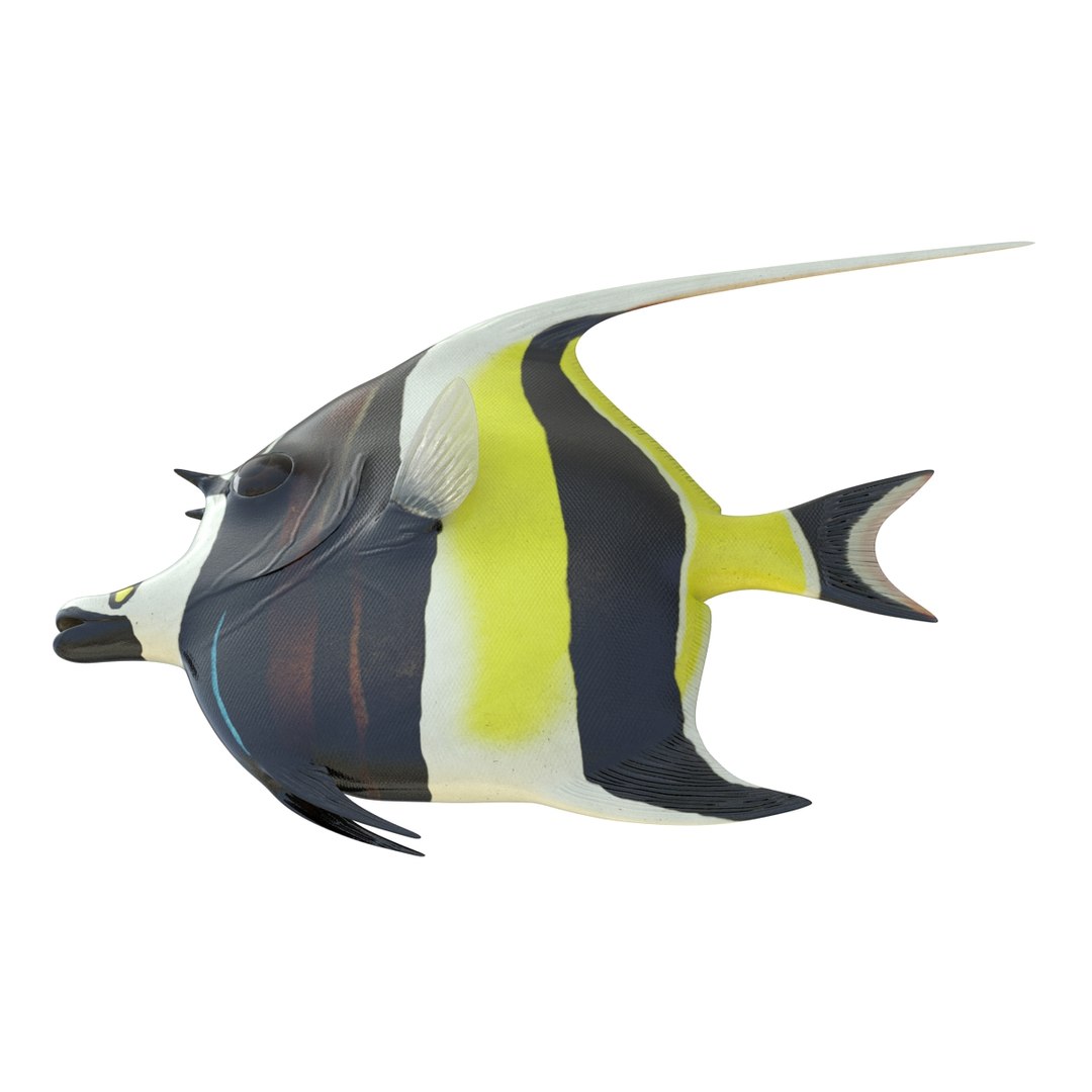 moorish idol fish 3d c4d https://p.turbosquid.com/ts-thumb/2k/KLcZ4C/QwgjdhuQ/moorishidolfish3dmodel16/jpg/1461569308/1920x1080/fit_q87/3e160aabf1b2a724ea32bd1d1907d172844ff769/moorishidolfish3dmodel16.jpg