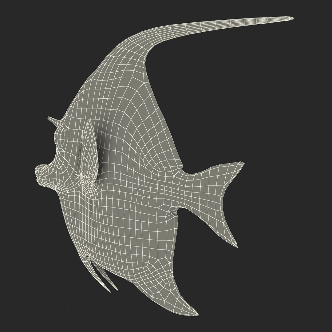 moorish idol fish 3d c4d https://p.turbosquid.com/ts-thumb/2k/KLcZ4C/R4KVszq0/moorishidolfish3dmodel33/jpg/1461569309/1920x1080/fit_q87/c01c499697d9d7f9e405fd7cf909cbb7f6498a2f/moorishidolfish3dmodel33.jpg