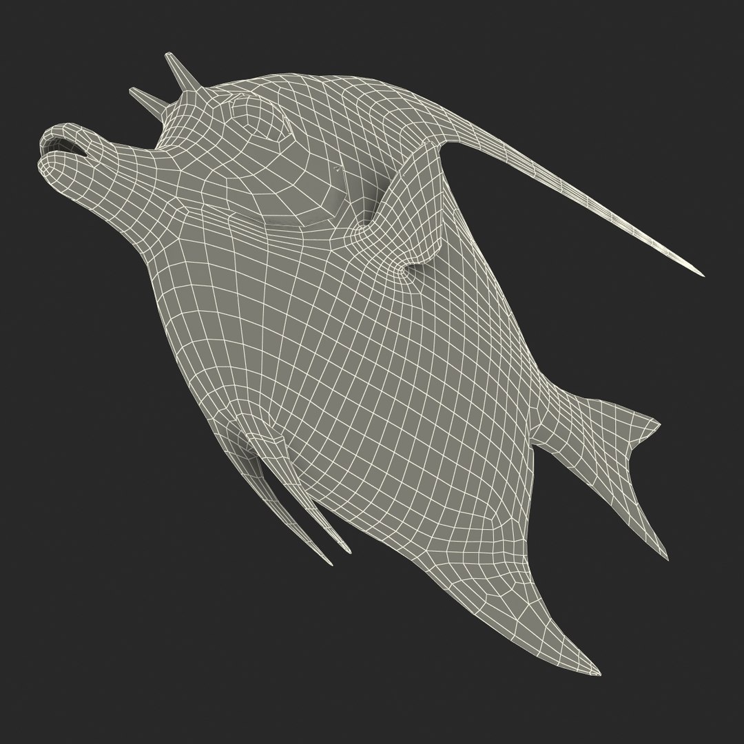 moorish idol fish 3d c4d https://p.turbosquid.com/ts-thumb/2k/KLcZ4C/RJarfbCT/moorishidolfish3dmodel36/jpg/1461569309/1920x1080/fit_q87/199eb905783193e0dbaa1396cb31665f6d546d84/moorishidolfish3dmodel36.jpg