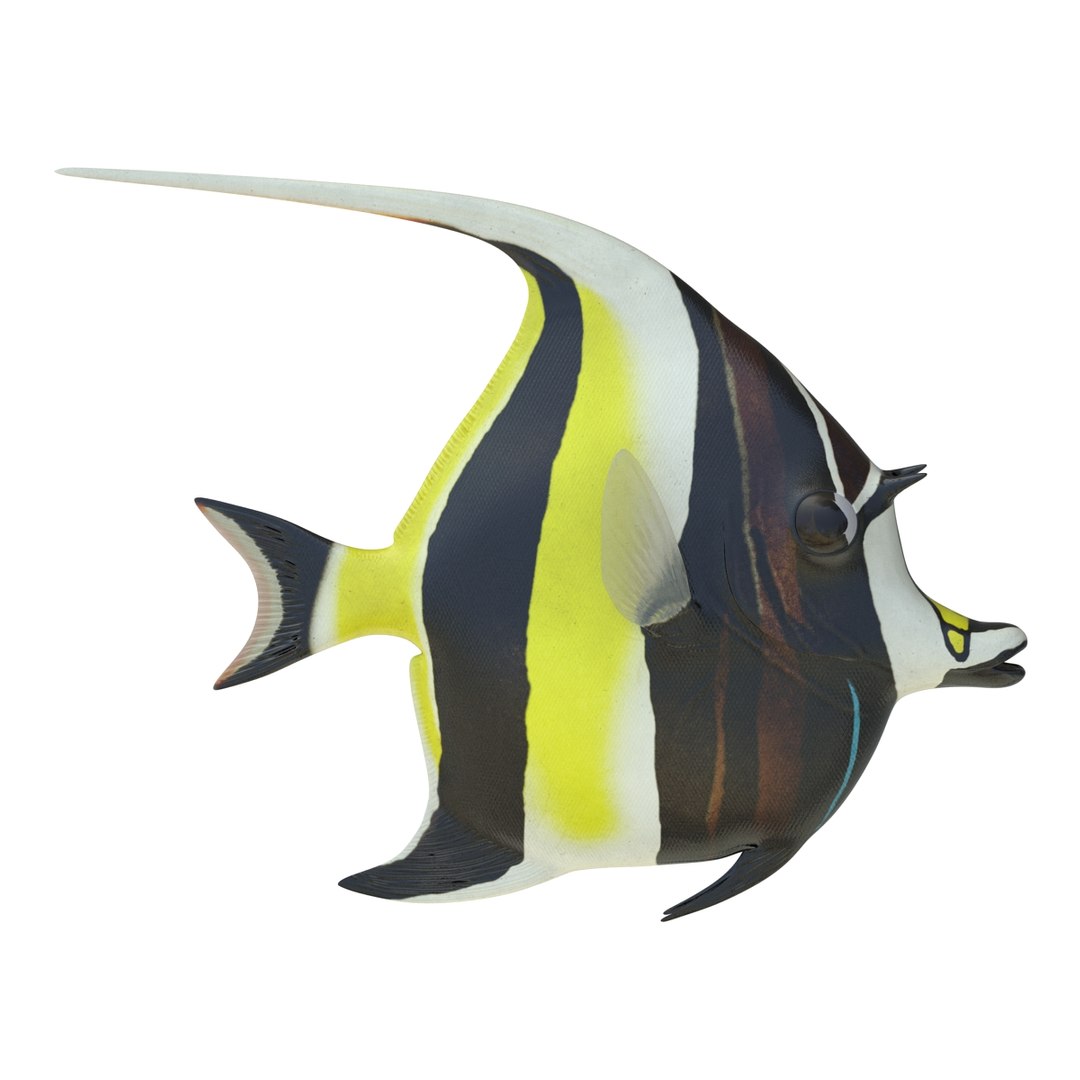 moorish idol fish 3d c4d https://p.turbosquid.com/ts-thumb/2k/KLcZ4C/V1DLVgTE/moorishidolfish3dmodel07/jpg/1461569307/1920x1080/fit_q87/304a69685fbee6f9b8ad098598ada8f52d271244/moorishidolfish3dmodel07.jpg