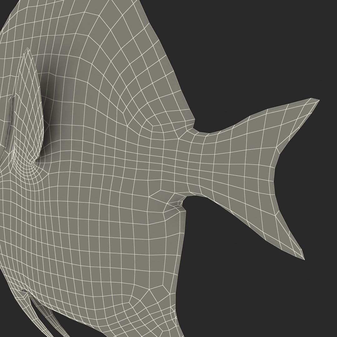 moorish idol fish 3d c4d https://p.turbosquid.com/ts-thumb/2k/KLcZ4C/VCR6pTOX/moorishidolfish3dmodel42/jpg/1461569309/1920x1080/fit_q87/7bcacffd35c27adb59421319bc8e7633c145878b/moorishidolfish3dmodel42.jpg