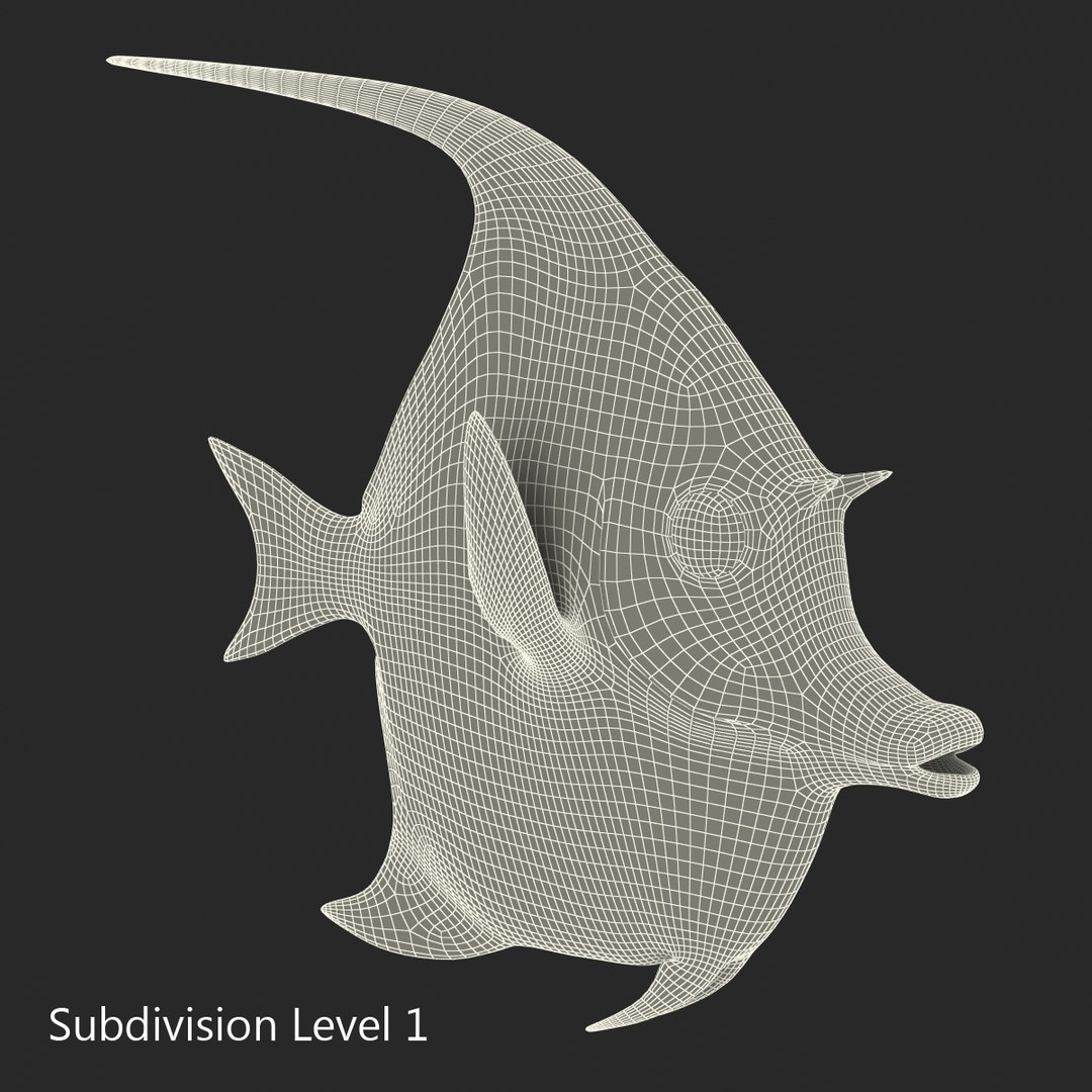 moorish idol fish 3d c4d https://p.turbosquid.com/ts-thumb/2k/KLcZ4C/Vc9w6rOb/moorishidolfish3dmodel28/jpg/1461569308/1920x1080/fit_q87/ed756b47ce035b3885adcf576bb024ea0dd3521d/moorishidolfish3dmodel28.jpg
