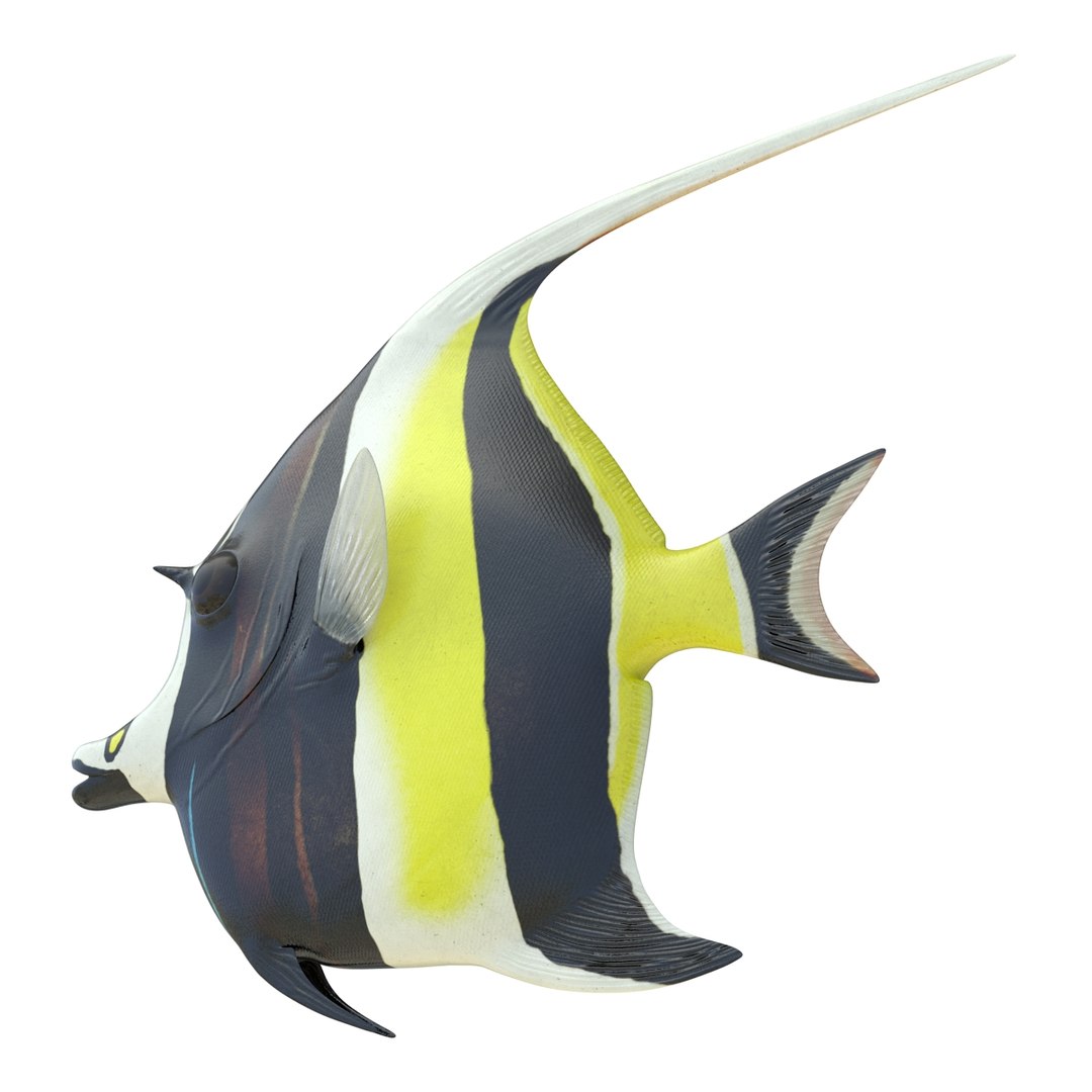 moorish idol fish 3d c4d https://p.turbosquid.com/ts-thumb/2k/KLcZ4C/XuwranNR/moorishidolfish3dmodel15/jpg/1461569307/1920x1080/fit_q87/8941afc18ad855604f5442b63040ac9820f23faf/moorishidolfish3dmodel15.jpg