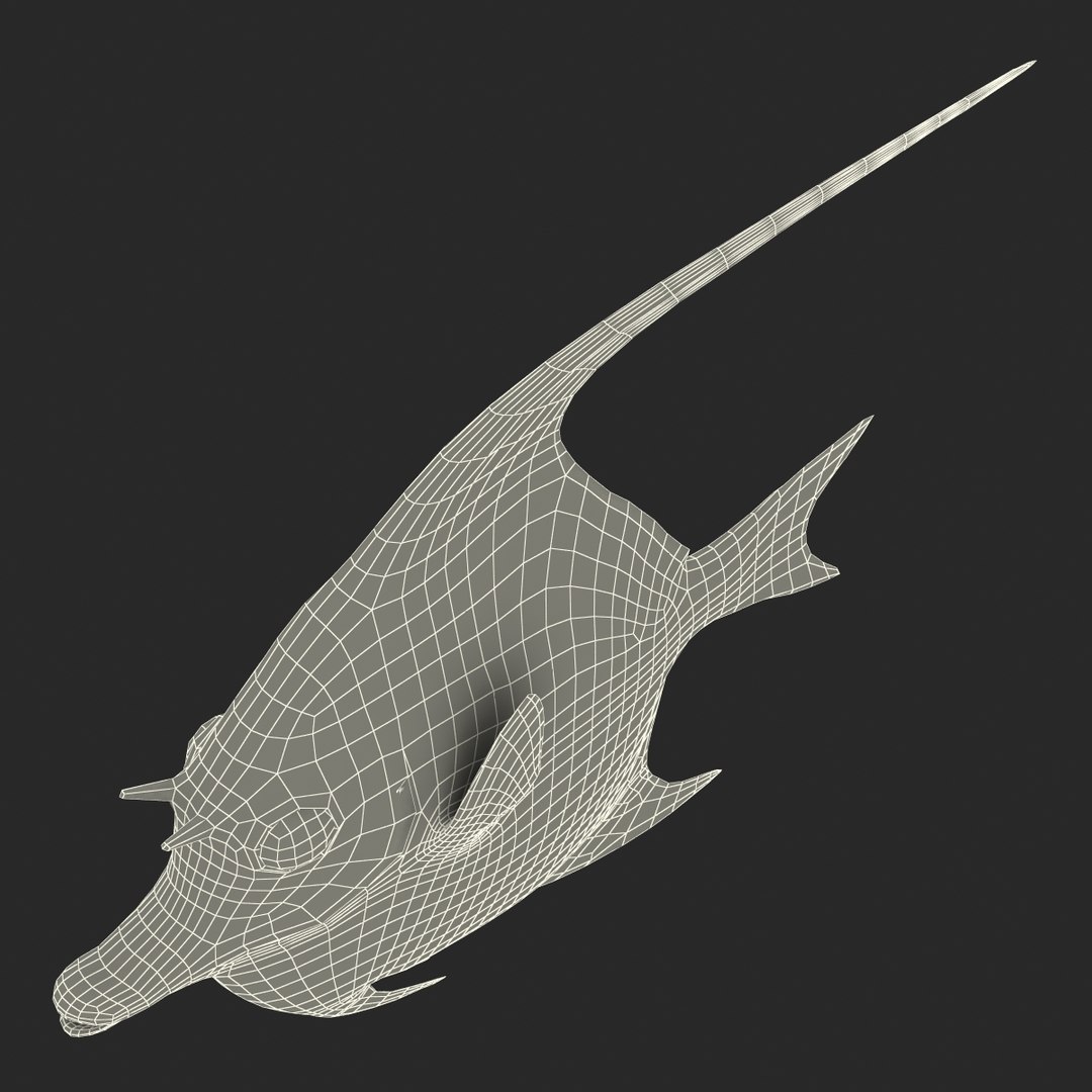 moorish idol fish 3d c4d https://p.turbosquid.com/ts-thumb/2k/KLcZ4C/eUbGKDd8/moorishidolfish3dmodel35/jpg/1461569309/1920x1080/fit_q87/979e217312cc87acb9f166ca361247a78a76d942/moorishidolfish3dmodel35.jpg