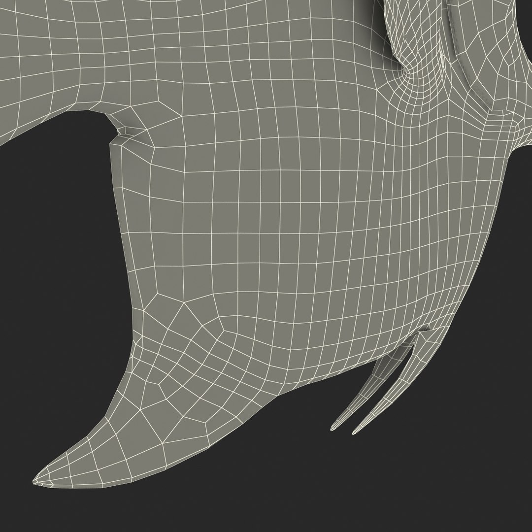 moorish idol fish 3d c4d https://p.turbosquid.com/ts-thumb/2k/KLcZ4C/gIpKRfRL/moorishidolfish3dmodel43/jpg/1461569309/1920x1080/fit_q87/ed595826776079afa98b9dc4969ec5199105394f/moorishidolfish3dmodel43.jpg
