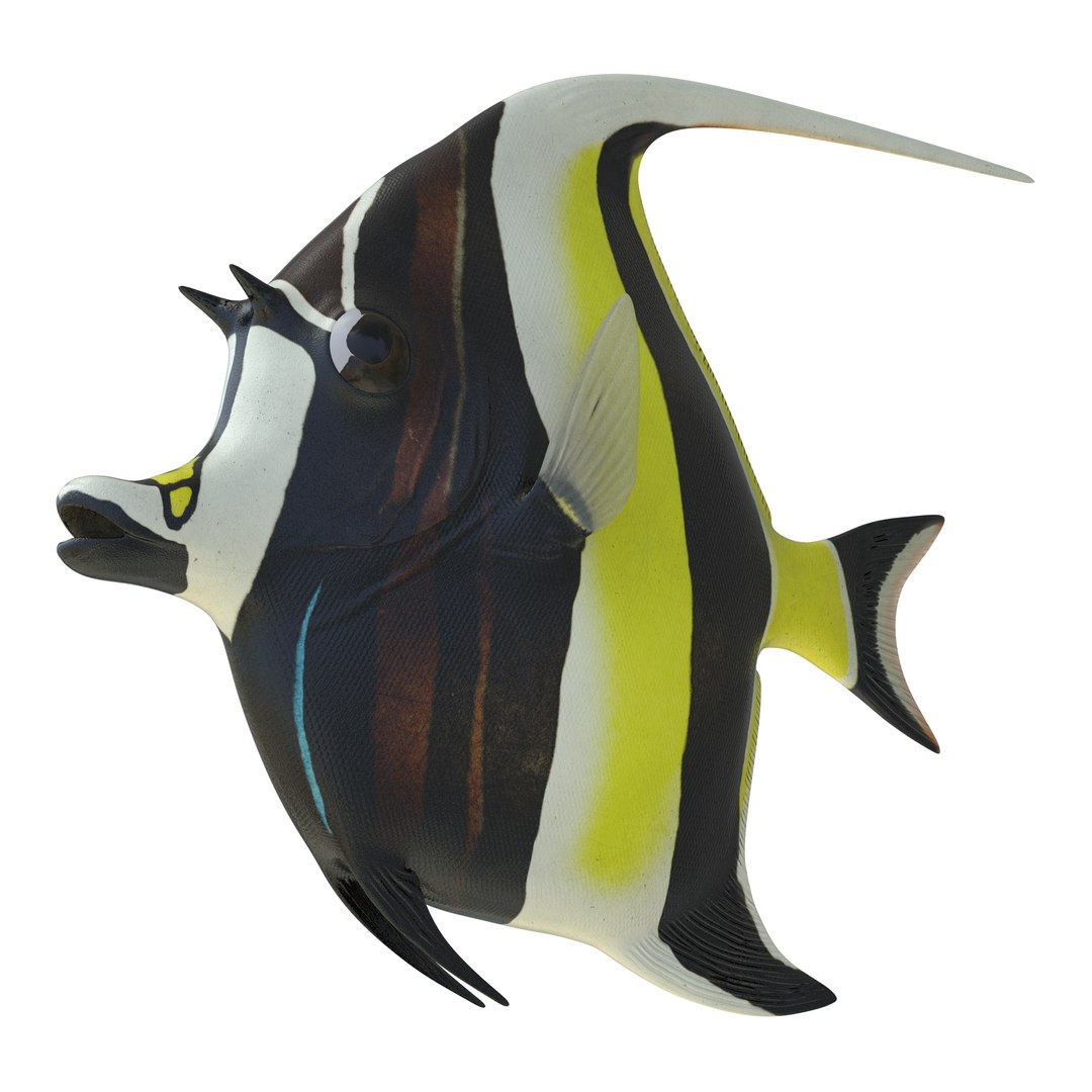 moorish idol fish 3d c4d https://p.turbosquid.com/ts-thumb/2k/KLcZ4C/h0DWVbmU/moorishidolfish3dmodel02/jpg/1461569307/1920x1080/fit_q87/326c6f6974cee7bae9b29883567f0ddc96d24c67/moorishidolfish3dmodel02.jpg