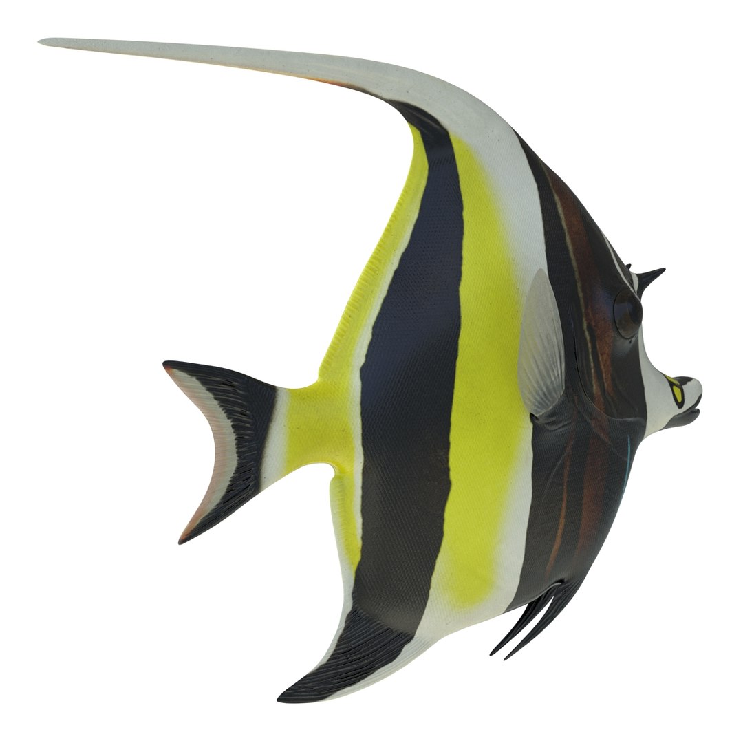moorish idol fish 3d c4d https://p.turbosquid.com/ts-thumb/2k/KLcZ4C/nXiNrb0d/moorishidolfish3dmodel06/jpg/1461569307/1920x1080/fit_q87/0f42171a96fd0f6cb2600978aefa7709f5993e91/moorishidolfish3dmodel06.jpg