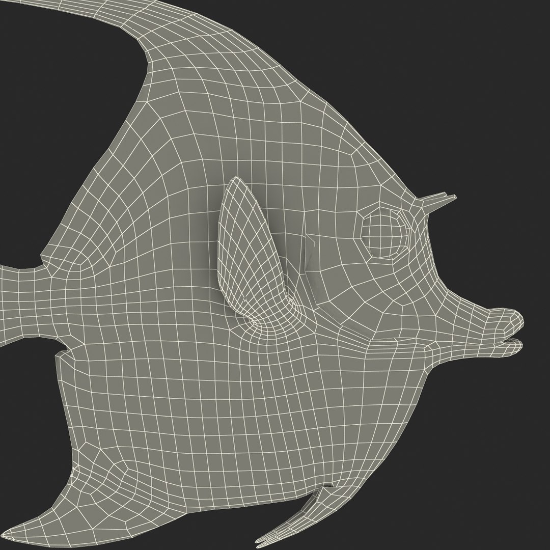 moorish idol fish 3d c4d https://p.turbosquid.com/ts-thumb/2k/KLcZ4C/tZF9yYnh/moorishidolfish3dmodel37/jpg/1461569309/1920x1080/fit_q87/ff6456fa1abc08a253468338518b5ae9cec96164/moorishidolfish3dmodel37.jpg