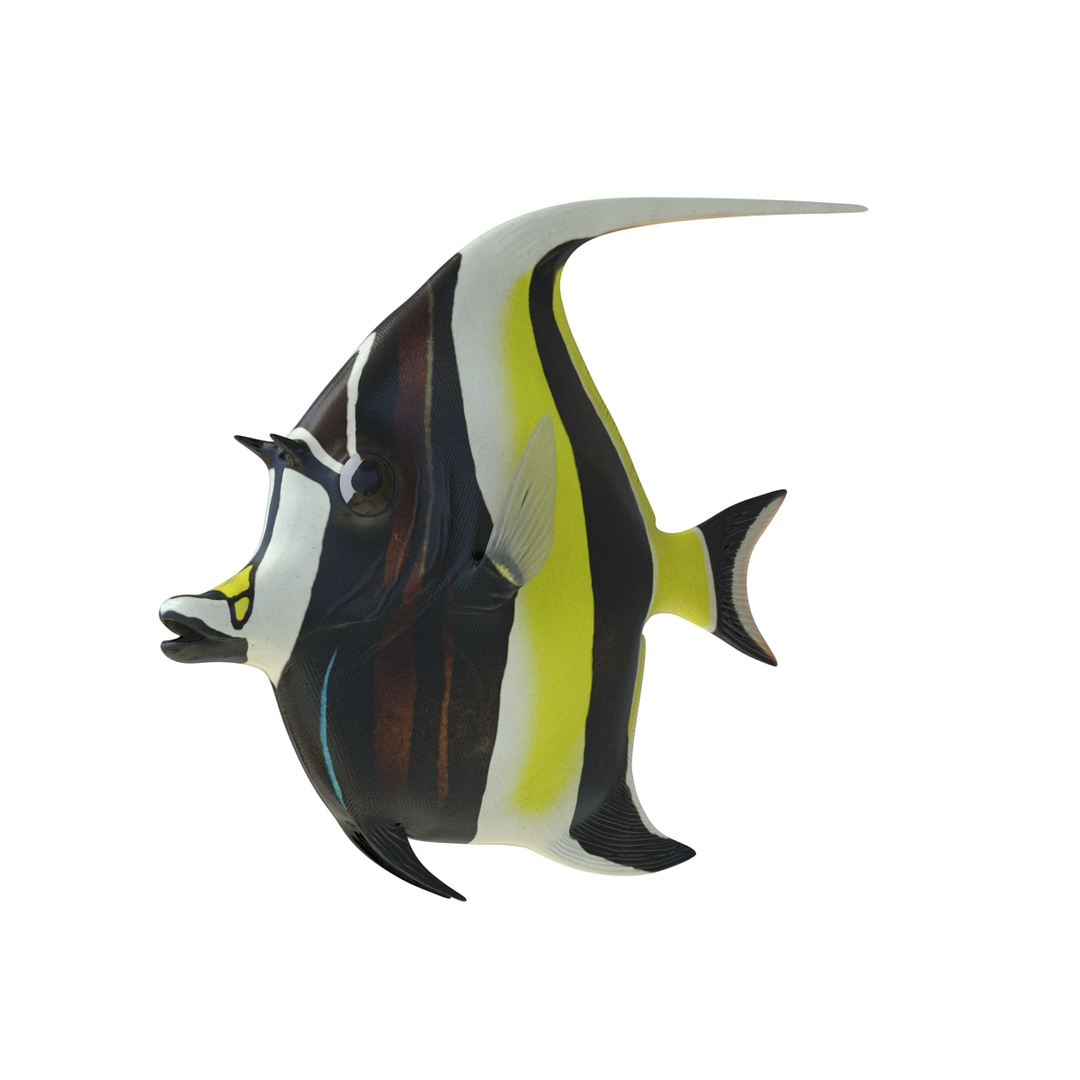 moorish idol fish 3d c4d https://p.turbosquid.com/ts-thumb/2k/KLcZ4C/tjwodcfm/moorish_idol_fish_360/jpg/1461569249/1920x1080/turn_fit_q99/05dbeb44091b96a92c0708a2c7a55f86bf755195/moorish_idol_fish_360-1.jpg