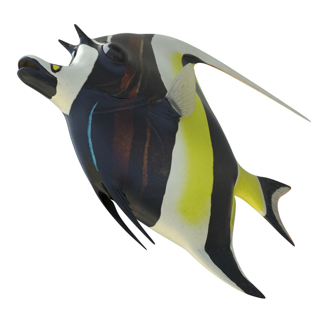 moorish idol fish 3d c4d https://p.turbosquid.com/ts-thumb/2k/KLcZ4C/wVzJiJ32/moorishidolfish3dmodel13/jpg/1461569307/1920x1080/fit_q87/c91ab9399bd7dd9b87d91465601f59bc5d9d18ce/moorishidolfish3dmodel13.jpg