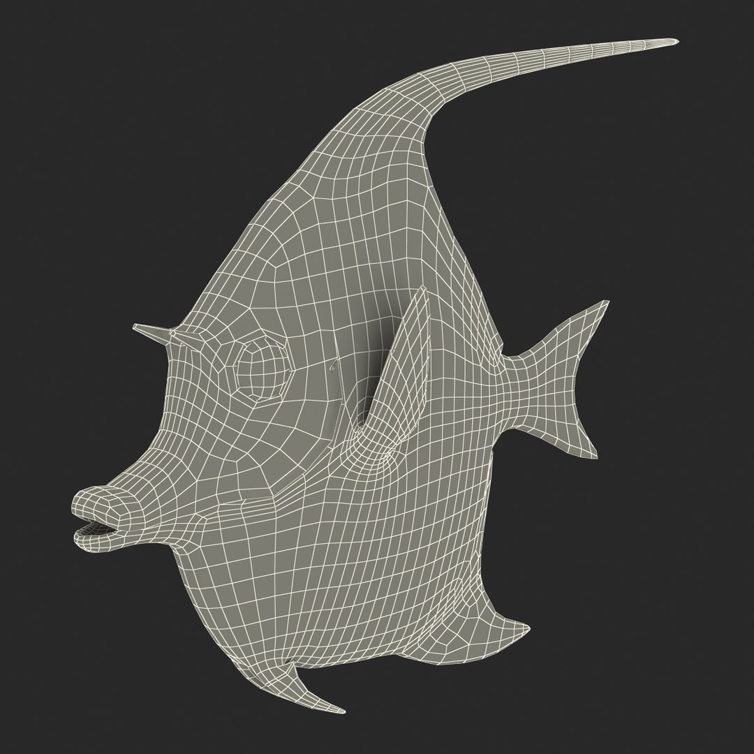 moorish idol fish 3d c4d https://p.turbosquid.com/ts-thumb/2k/KLcZ4C/xF44ruiB/moorishidolfish3dmodel32/jpg/1461569308/1920x1080/fit_q87/152da7f213c5f4cee47f130419278e64d41f7a87/moorishidolfish3dmodel32.jpg
