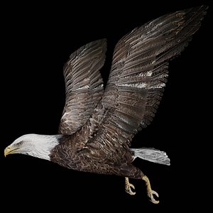 Flying Eagle Rigged Low Poly