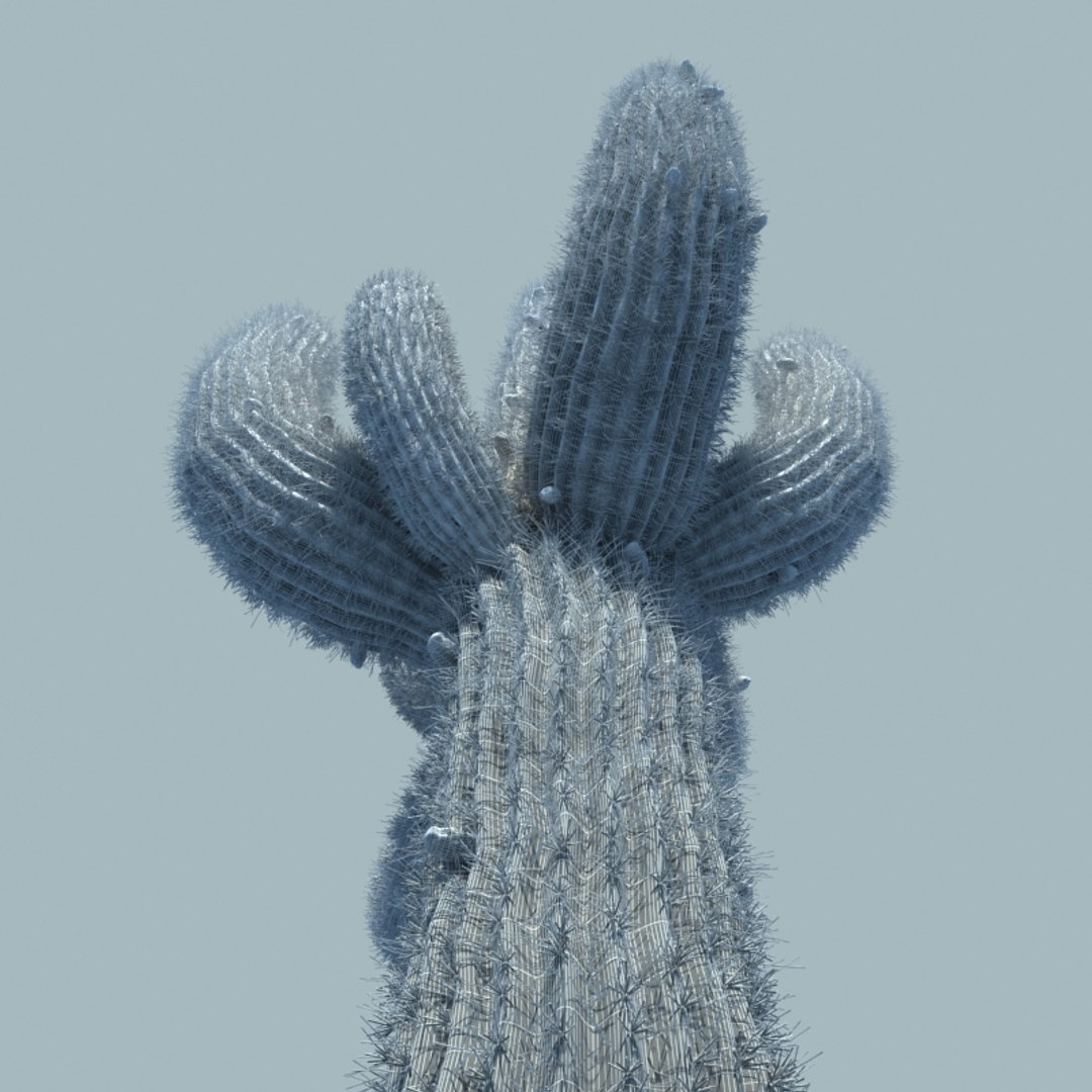 desert cactus 3d max https://p.turbosquid.com/ts-thumb/2k/PwIJZW/56a9CVfy/w2/jpg/1469830092/1920x1080/fit_q87/664b2e816e0ffa38305c90d7099e40924eea9ba0/w2.jpg