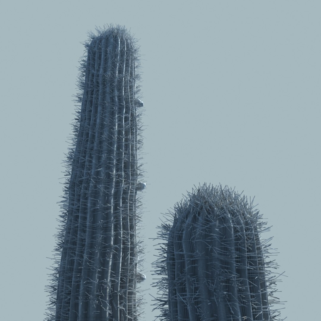 desert cactus 3d max https://p.turbosquid.com/ts-thumb/2k/PwIJZW/W4Rz24qe/w5/jpg/1469830092/1920x1080/fit_q87/074853aa3003b17580033ed91becbb3b12963a0f/w5.jpg
