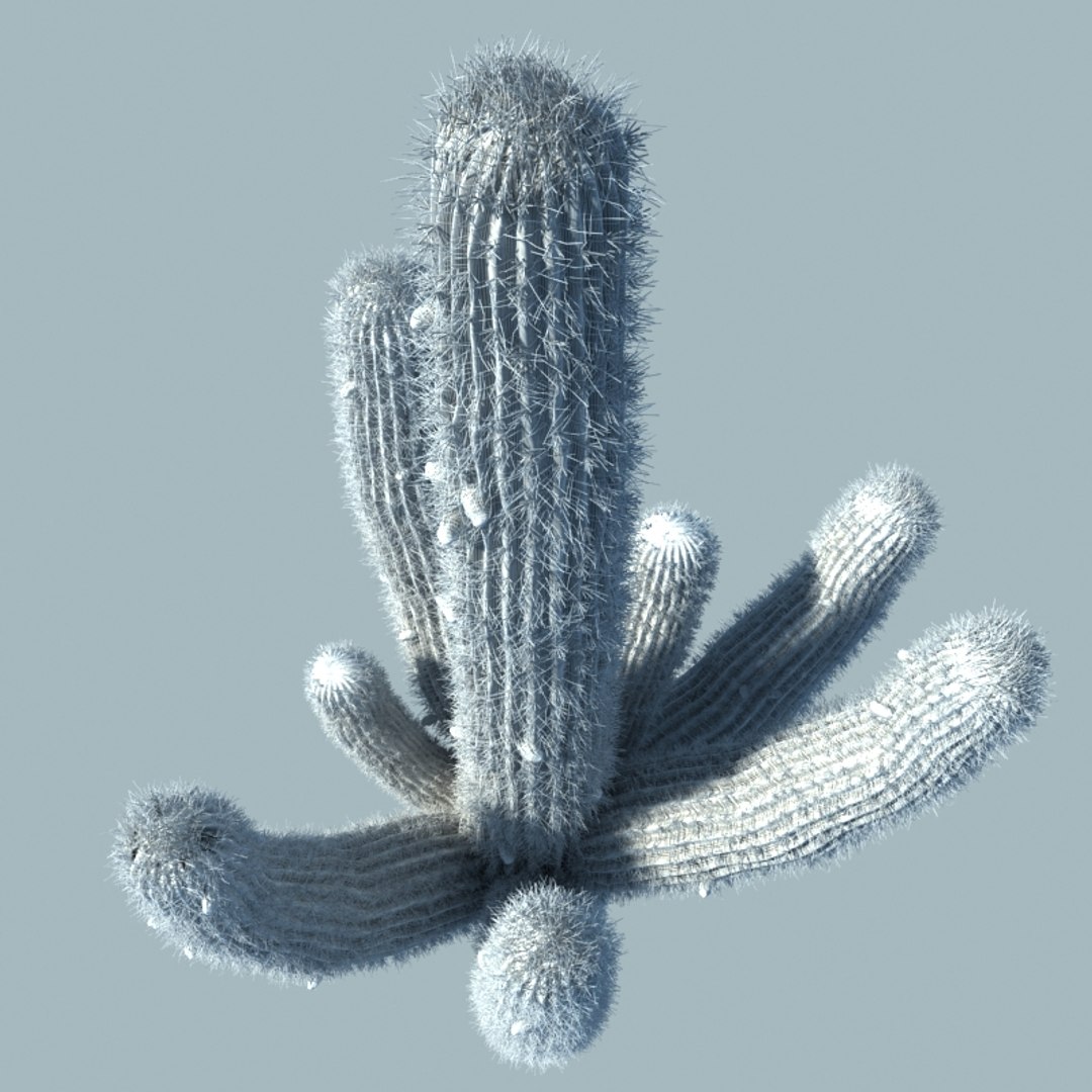 desert cactus 3d max https://p.turbosquid.com/ts-thumb/2k/PwIJZW/kr1Qbt7S/w3/jpg/1469830092/1920x1080/fit_q87/823cf787e5a93c292c019001a0e17e724a193a5e/w3.jpg