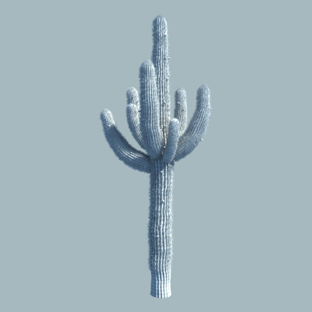 desert cactus 3d max https://p.turbosquid.com/ts-thumb/2k/PwIJZW/sMVJFWVH/w1/jpg/1469830092/1920x1080/fit_q87/c8d1543557f2c4852223ec4e57319a25888e4530/w1.jpg