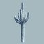 Desert Cactus
