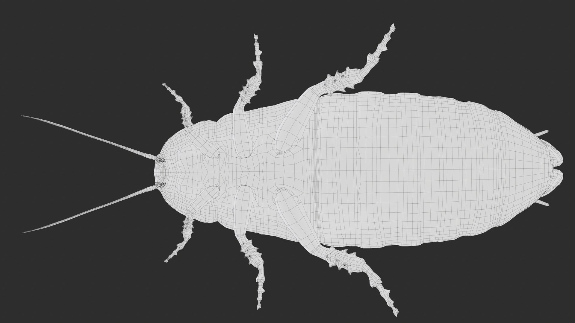 Madagascar Hissing Cockroach PBR 3D https://p.turbosquid.com/ts-thumb/2k/Uzjhqd/Br/screenshot073/png/1699877323/1920x1080/fit_q87/372617d551602252e6552afa501b16257a011639/screenshot073.jpg