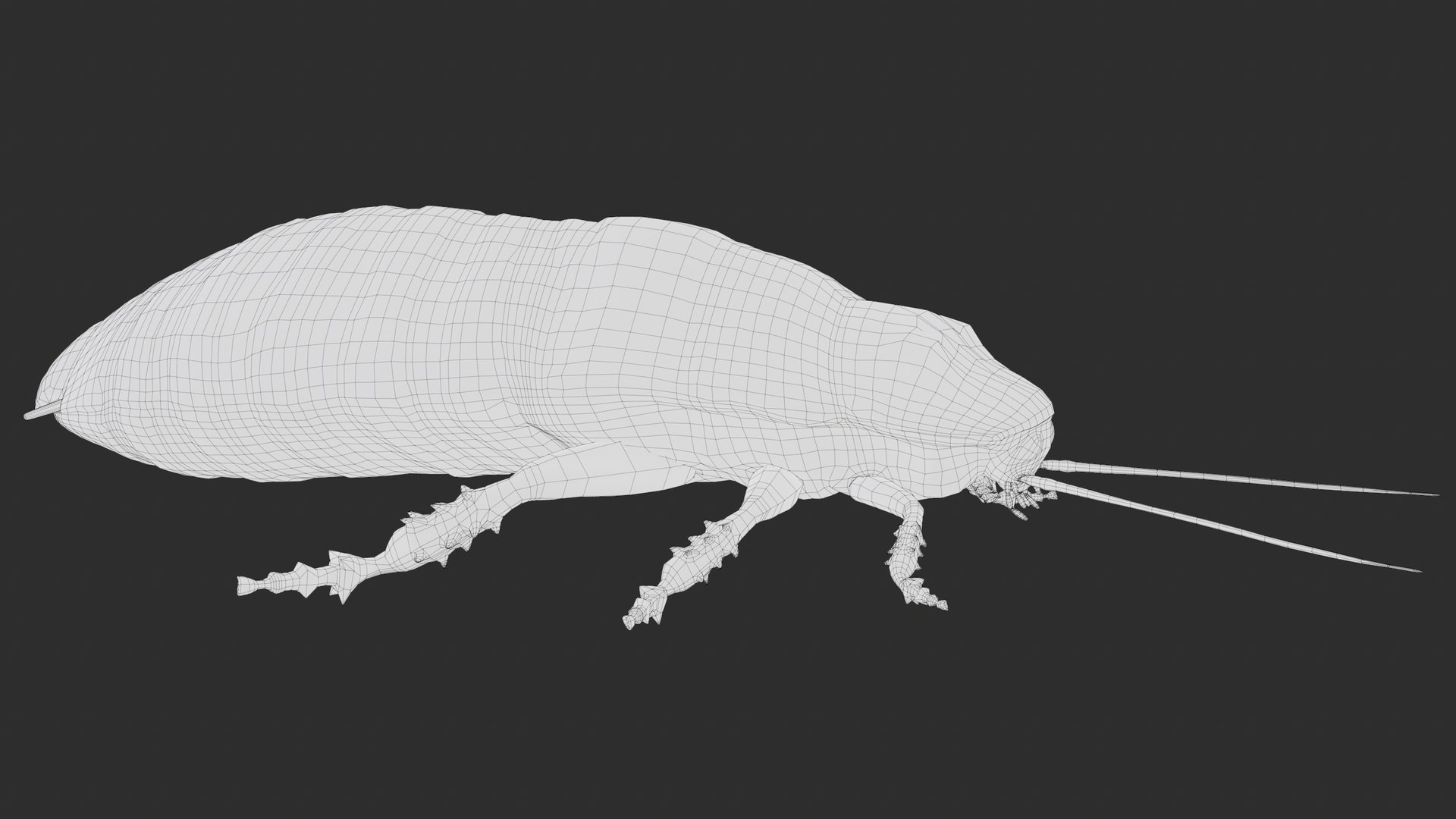 Madagascar Hissing Cockroach PBR 3D https://p.turbosquid.com/ts-thumb/2k/Uzjhqd/lk/screenshot063/png/1699877317/1920x1080/fit_q87/b227c948f6678e5dc698dc06bfc0aa1fb15cebdc/screenshot063.jpg