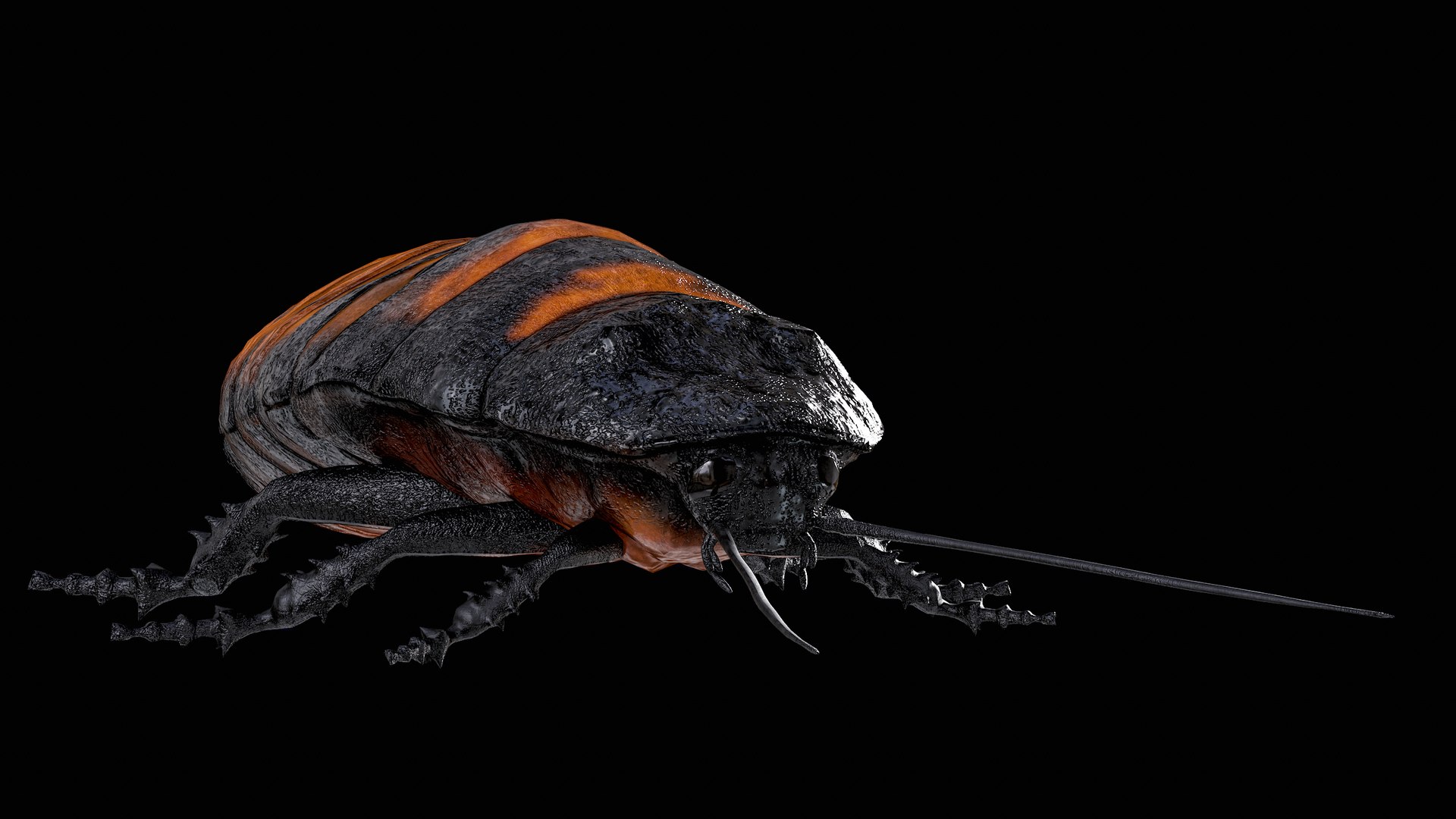 Madagascar Hissing Cockroach PBR 3D https://p.turbosquid.com/ts-thumb/2k/Uzjhqd/z3/r_viewport_006/png/1699877300/1920x1080/fit_q87/0f9c39dbabac0580726b119a580618efd91a850d/r_viewport_006.jpg