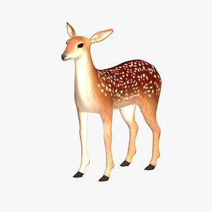 3D fawn modeled model