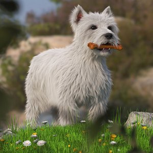 West Highland White Terrier with Bone Fur