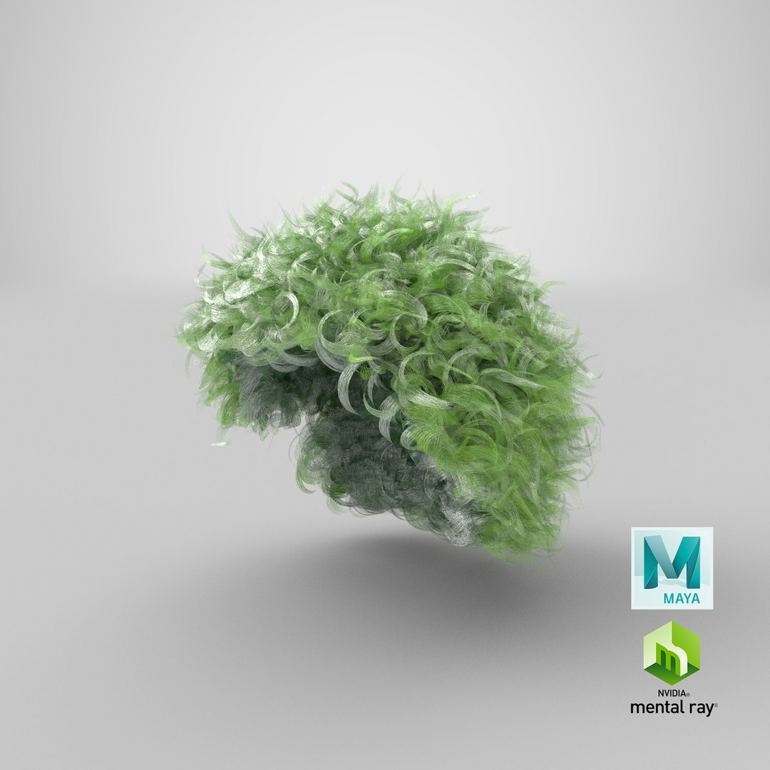 Clown Wig v 6 model https://p.turbosquid.com/ts-thumb/2k/bd0jsg/3o/stemcell_maya_mental_ray_render/png/1651918751/1920x1080/fit_q87/2f3f1cc4ad89b3f9c32fa81142af46d7422b24e4/stemcell_maya_mental_ray_render.jpg