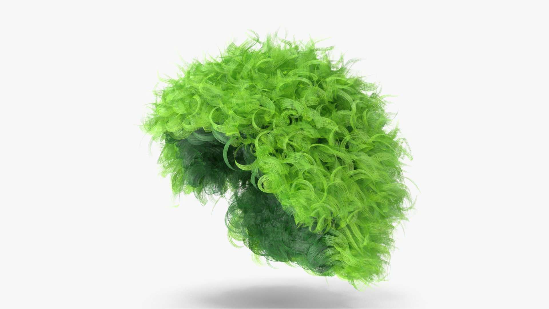 Clown Wig v 6 model https://p.turbosquid.com/ts-thumb/2k/bd0jsg/CE/angles_01/jpg/1651915704/1920x1080/fit_q87/eb177c8d23afd33f8824f8395c02555be4ded150/angles_01.jpg