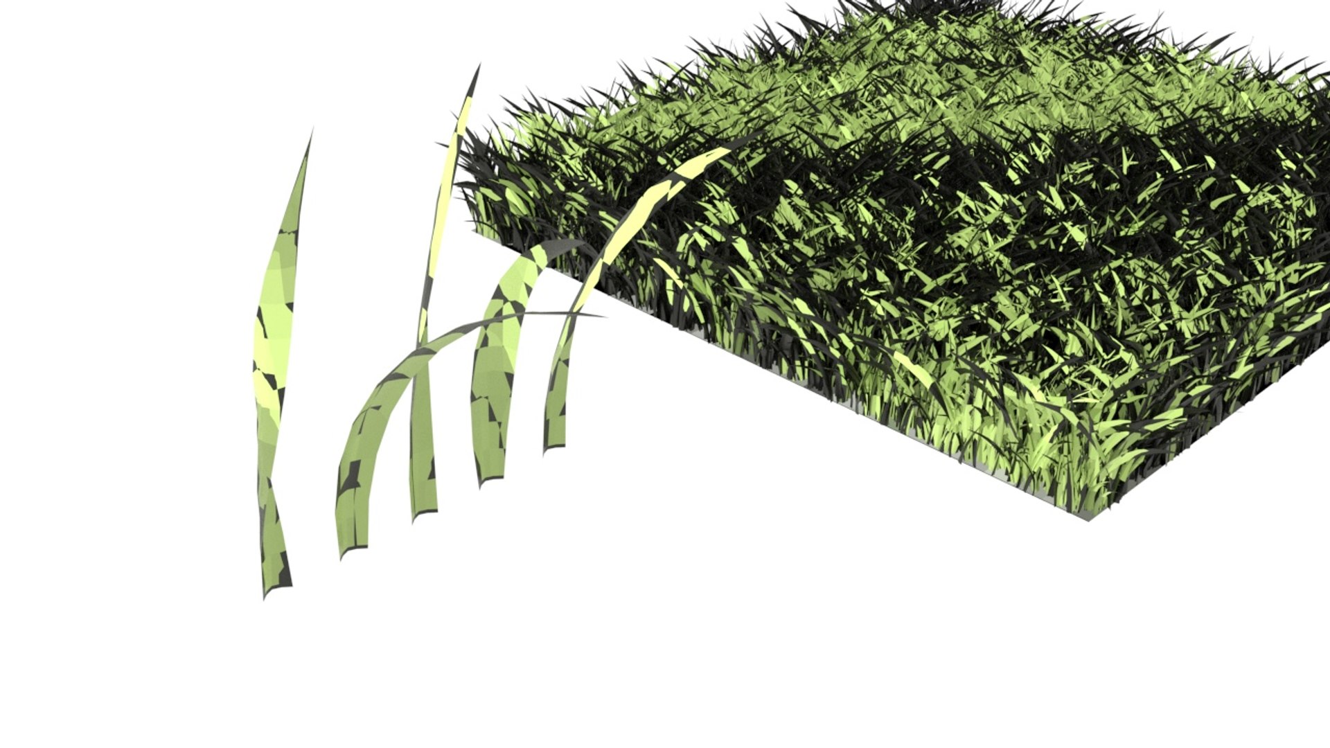 3D modeled grass field https://p.turbosquid.com/ts-thumb/2k/dKYUJ1/Bj/grass28new/jpg/1608203524/1920x1080/fit_q87/fd3fd308e240e9b174feb646fca55962fb50ef2e/grass28new.jpg