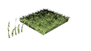 3D modeled grass field