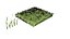 Grasses