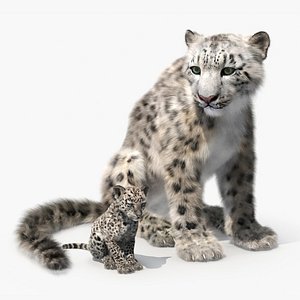 3D Snow Leopard Mother and Calf Fur