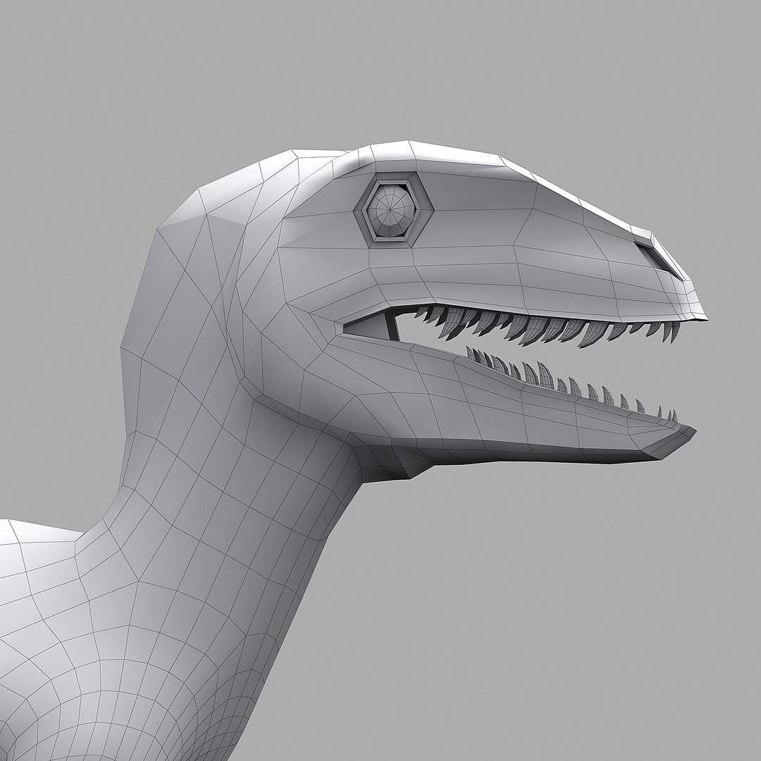 3D RAPTOR 3d - TurboSquid 2328945