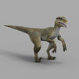 RAPTOR 3d