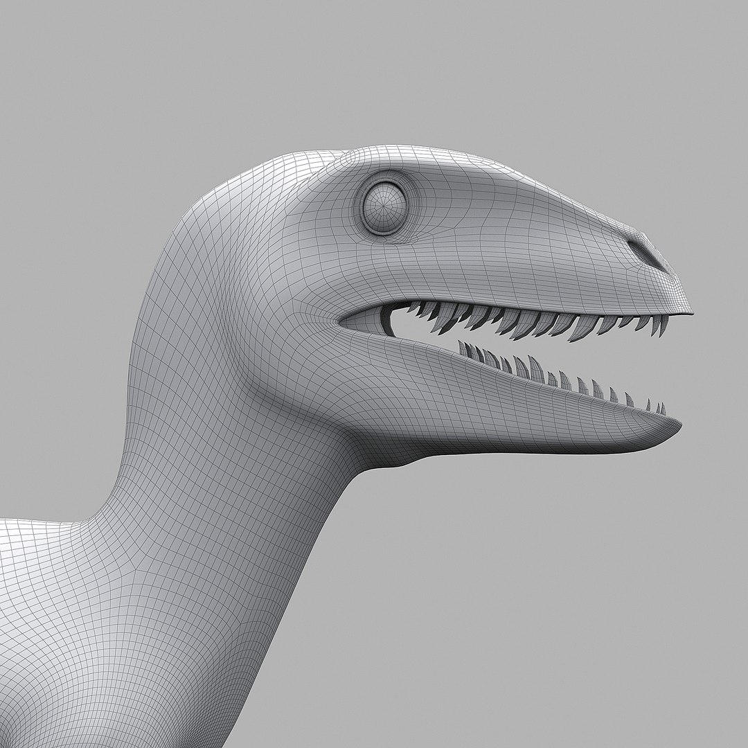 3D RAPTOR 3d - TurboSquid 2328945