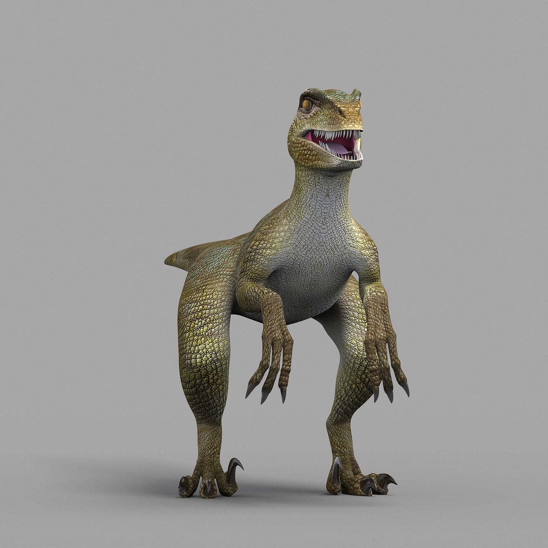 3D RAPTOR 3d - TurboSquid 2328945
