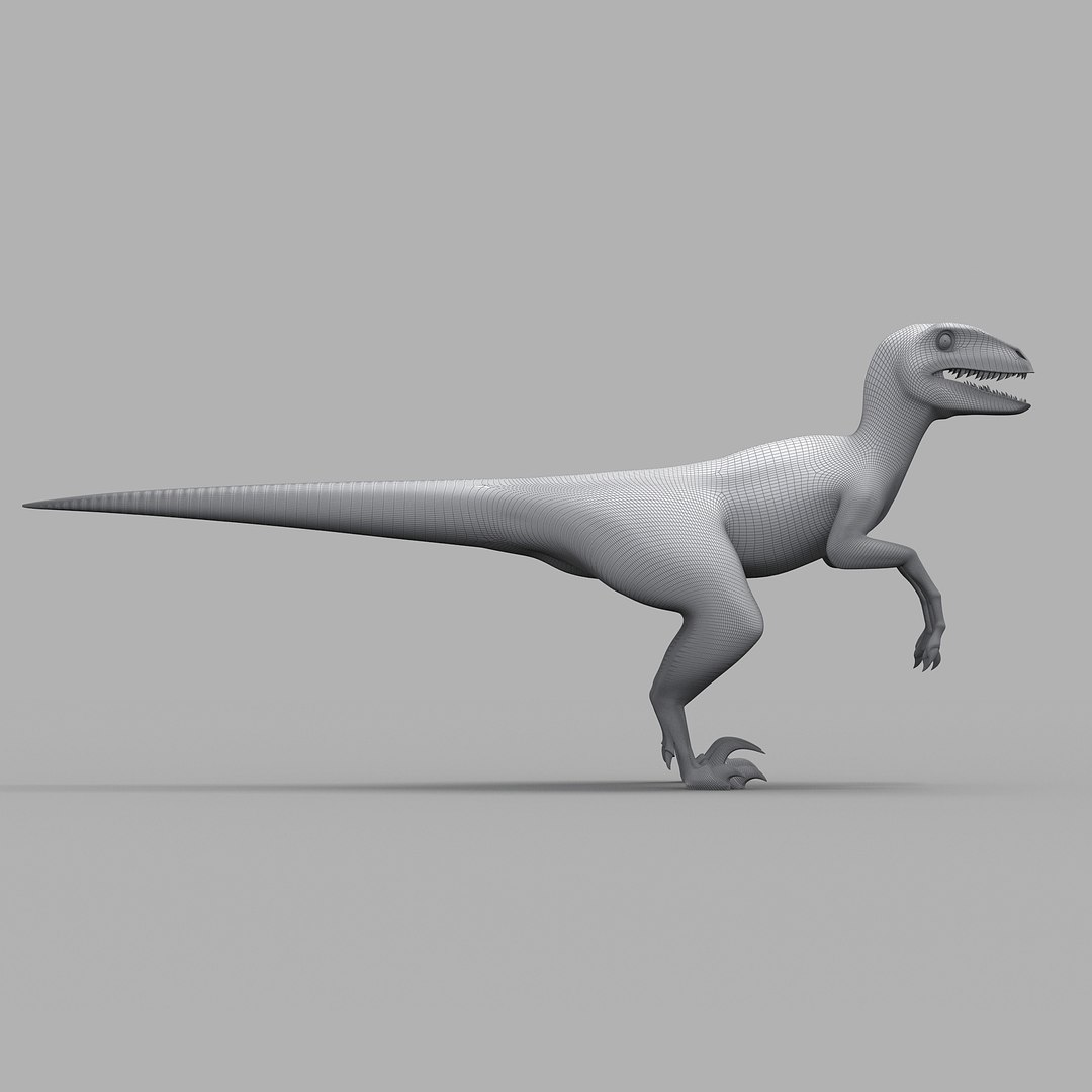 3D RAPTOR 3d - TurboSquid 2328945