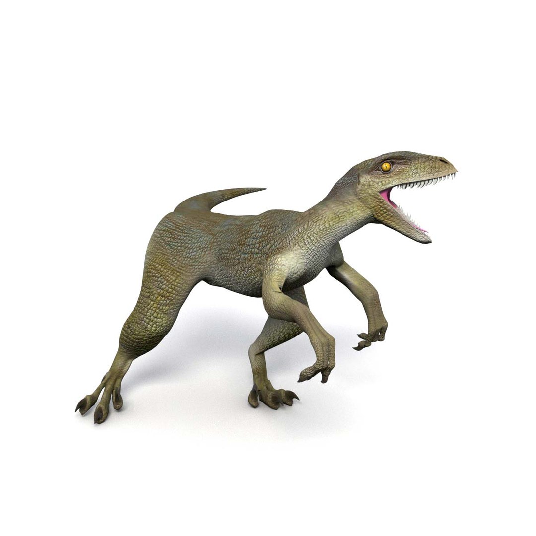 3D RAPTOR 3d - TurboSquid 2328945