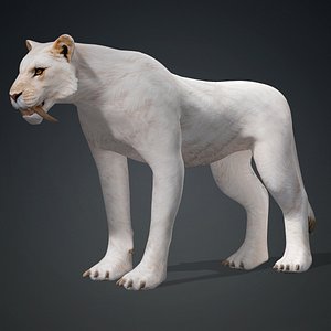 3D Lion-B2