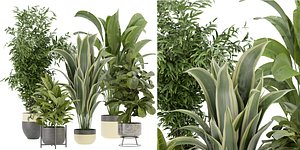 3D model Collection plant vol 353 - blender model