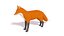 3D cartoon fox