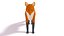 3D cartoon fox