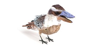 Laughing Kookaburra Realistic Bird 3D Model