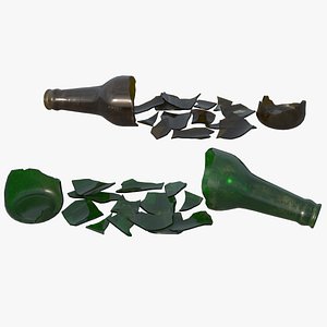 Broken Bottle HD model