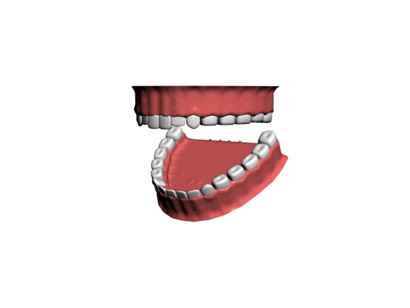 3d model human modeled teeth https://p.turbosquid.com/ts-thumb/2k/rRk96E/HwDbne6z/03/jpg/1276703933/1920x1080/fit_q87/272b3dc2f4bd992fca010b887bf95ccc432cee87/03.jpg