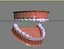 Teeth Model