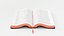 BIBLE RIGGED