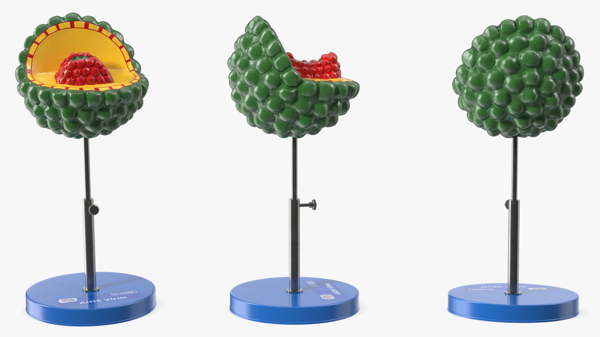 HIV Virus Educational Model On Metal Stand 3D - TurboSquid 2409932